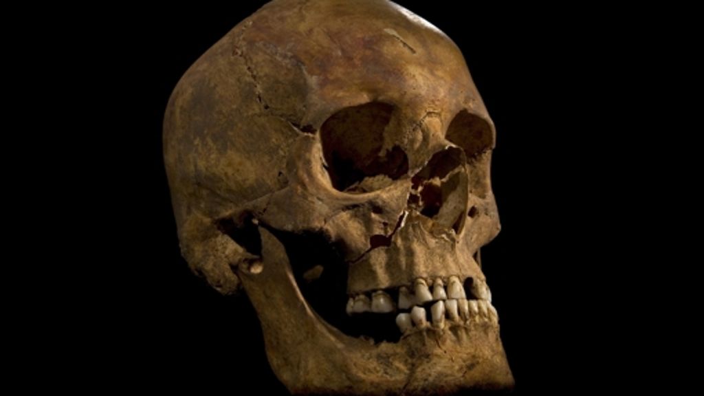Richard III.: Das Skelett vom Parkplatz  ist ein   König