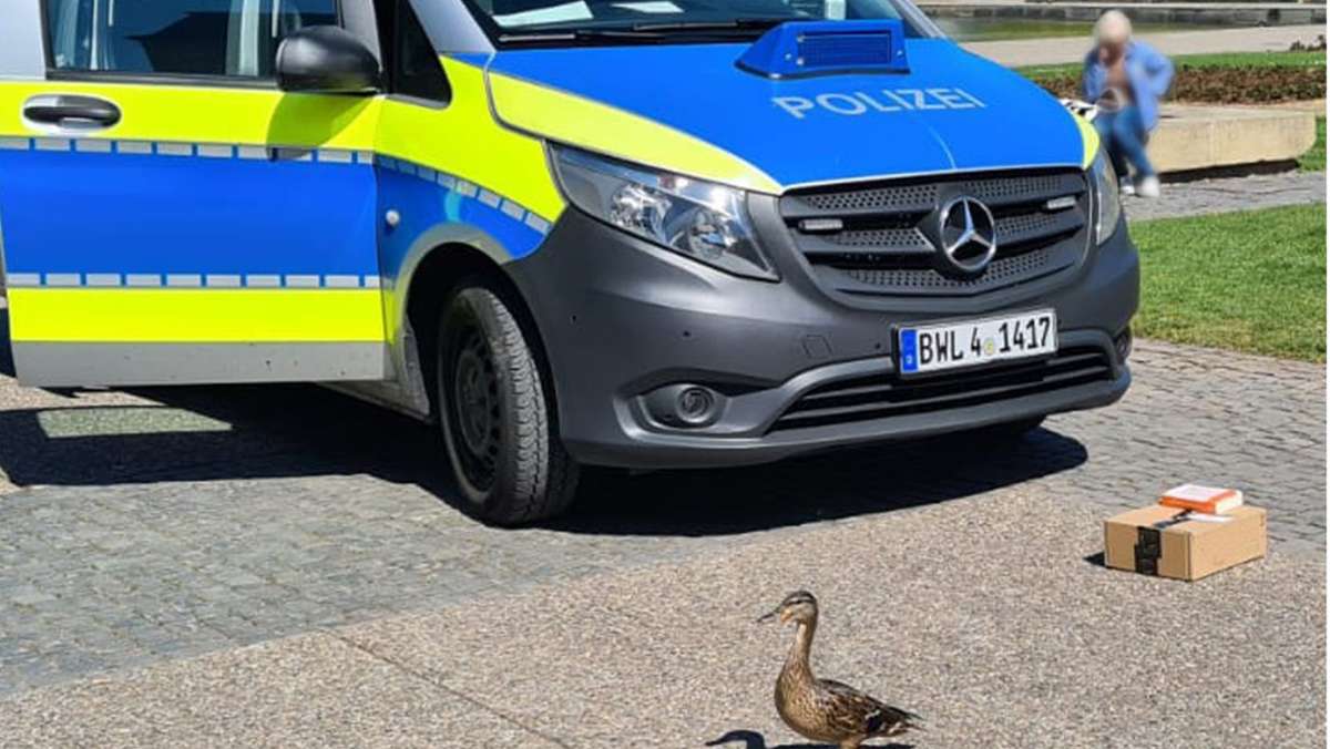  Eine Passantin meldet der Polizei eine Entenfamilie, die über die Theodor-Heuss-Straße in Stuttgart irrt. Die Beamten fangen die Tiere ein und wollen sie am Eckensee aussetzen. Doch dort ist die Entenfamilie nicht willkommen. 