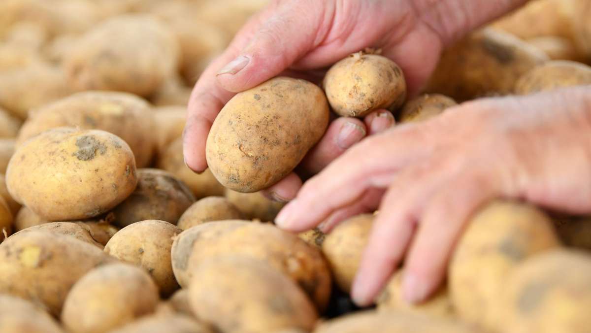 Prozess wegen Sklaverei in Grafenau: Kartoffelschälen bis zur Bewusstlosigkeit