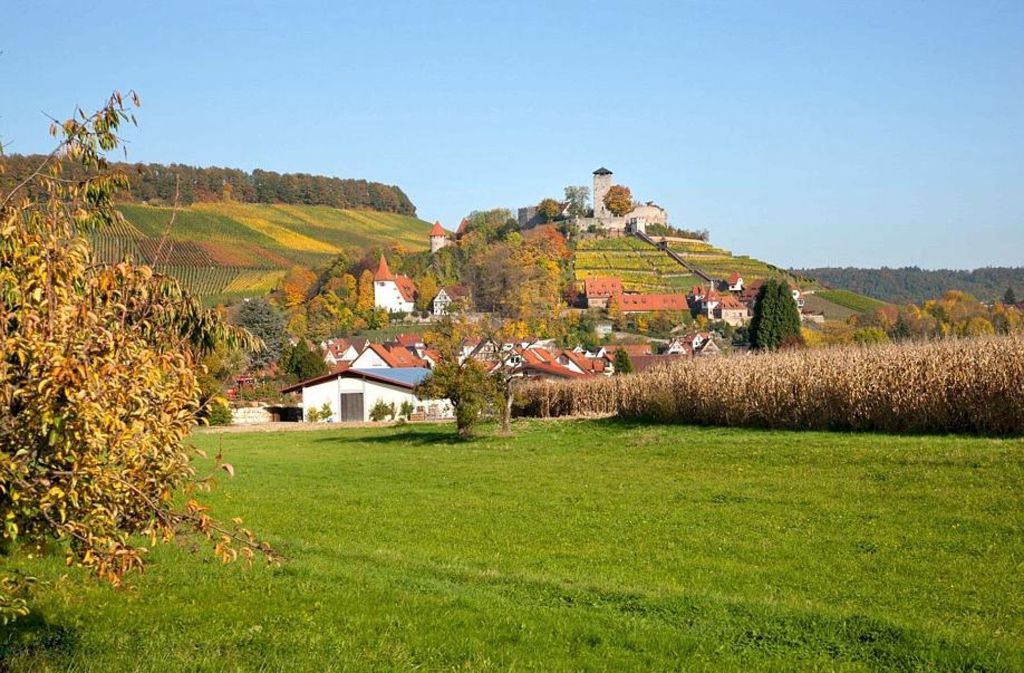 Der Wein-Lese-Weg der zum Beispiel eine sehr schöne Route von Benningen über Marbach und Steinheim nach Murr bietet, zeigt pure Landidylle. Mehr zu den Routen gibt es hier: www.marbach-bottwartal.de/wein-lese-weg.html