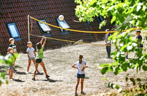 Volleyball ist im Waldheim nur eine von vielen Sportmöglichkeiten. Foto: Ines /Rudel