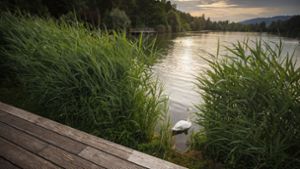 In diesen 11 Seen badet man naturnah und idyllisch