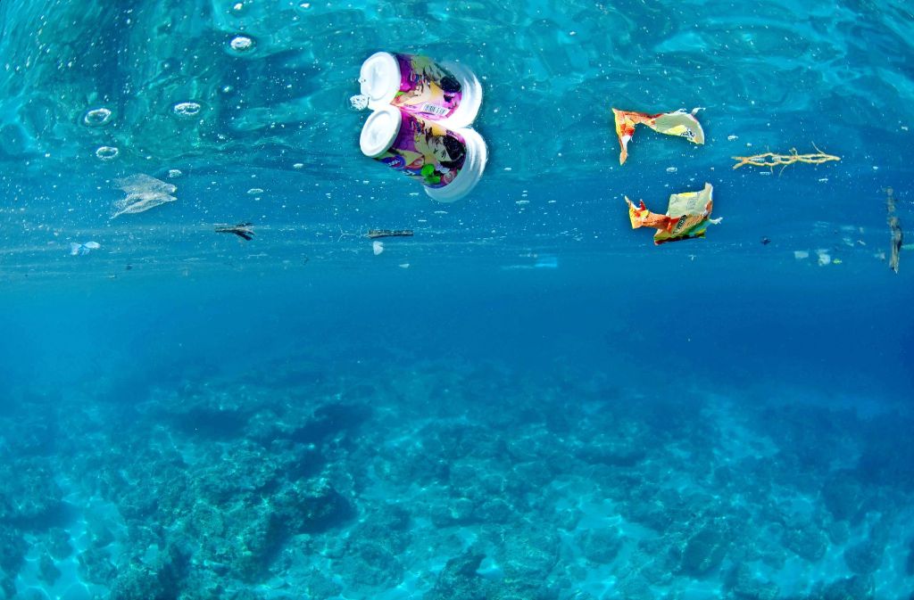 Schwerpunkt des Welttags der Meere ist in diesem Jahr jedoch die Verschmutzung der Meere mit Plastikmüll.
