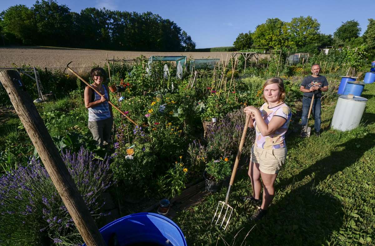 Gemeinsam harken und buddeln: Vittoria Strobel (links), Sylwia Sieczkowska und Müslim Yazici tun dies im Internationalen Garten.