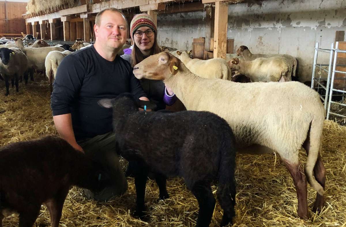 Bernd und Kathrin Vogelbacher halten insgesamt 200 Ziegen und Schafe, 150 Lämmer sowie sechs Mutterkühe, sechs Kälber und einen Bullen.