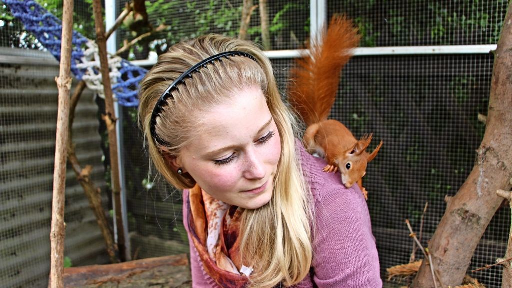 Eichenhörnchenhilfe im Hoffeld: Glückspelze in liebevollen Händen