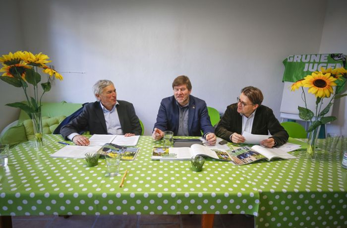 Überraschung bei der Europawahl: Grüne überholen die CDU in Ludwigsburg