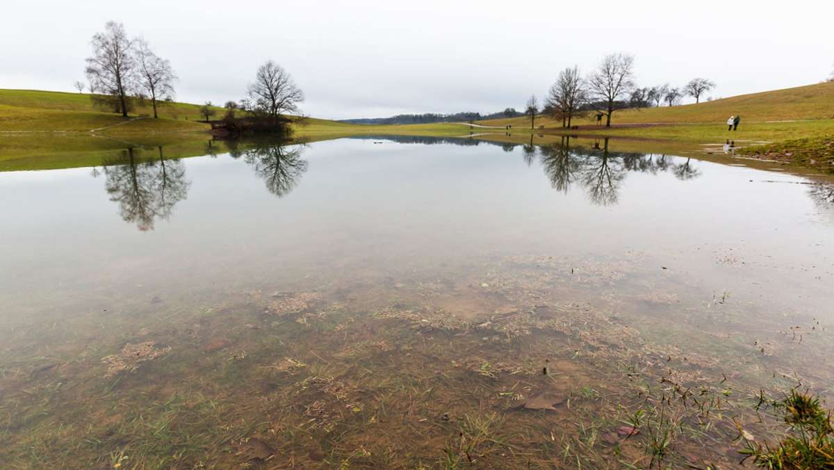 Plötzlich Wasser statt Wiese: Vergänglicher Schwarzwald-See zu sehen