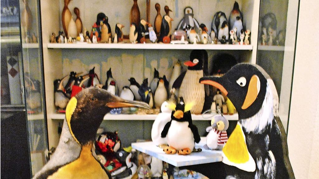 Sammelleidenschaft in Bad Cannstatt: Mehr Pinguine als in der Wilhelma