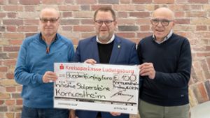 Kornwestheim: Stadt leiht Kostüm und darf statt Gebühr spenden