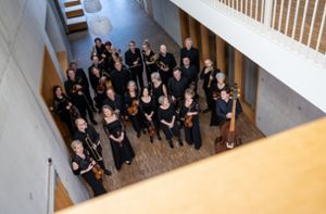 Das Freiburger Barockorchester Foto: FBO/Britt Schilling