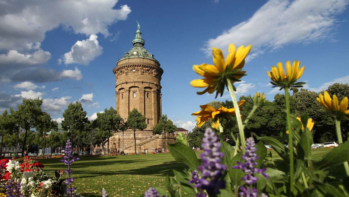 Warnung in Baden-Württemberg: Ozonwerte überschreiten Meldegrenze  in Teilen des Landes