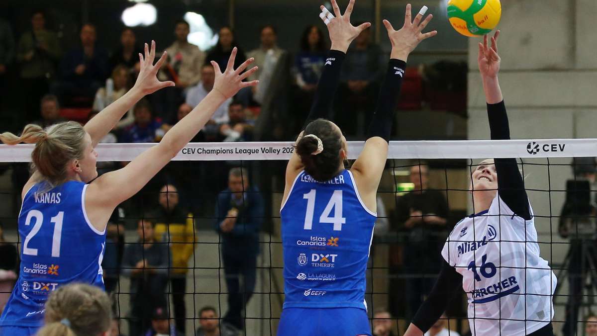 Allianz MTV Stuttgart: Volleyballerinnen stehen im Viertelfinale der Champions League