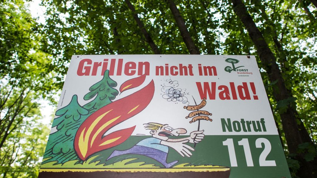 Waldbrandgefahr im Kreis Böblingen: Rauchen und Grillen sind  im Wald verboten