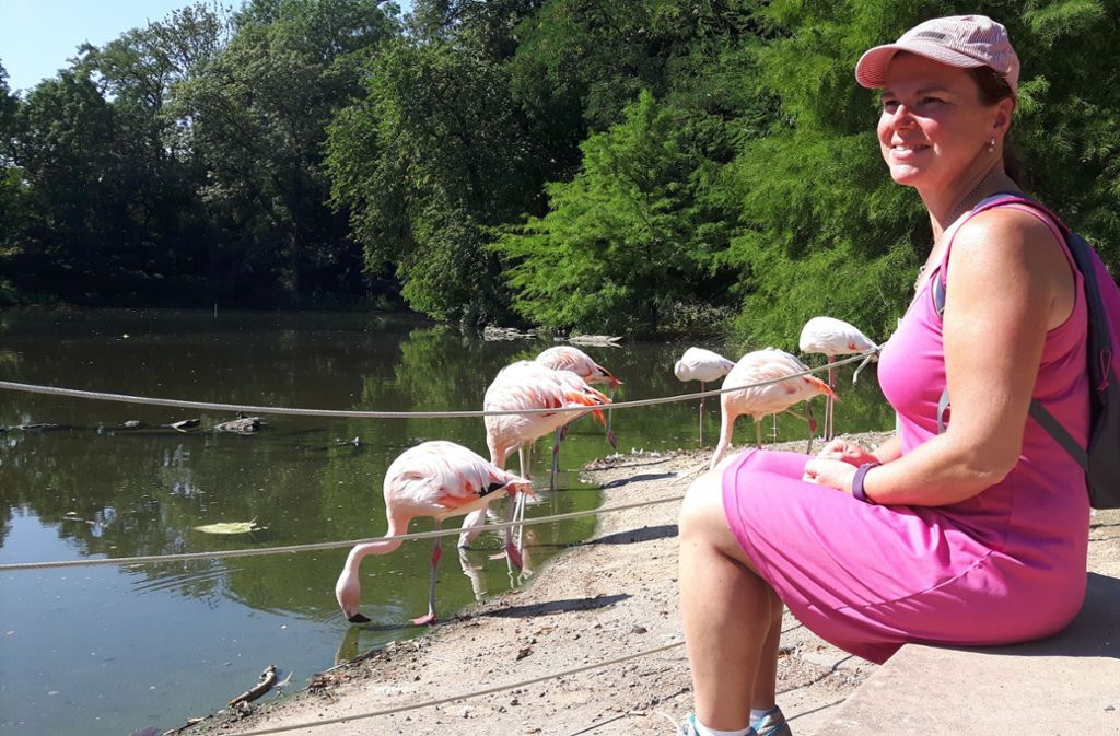 Ein Feeling wie in Florida – Manuela Schweigert macht Pause bei den Flamingos.