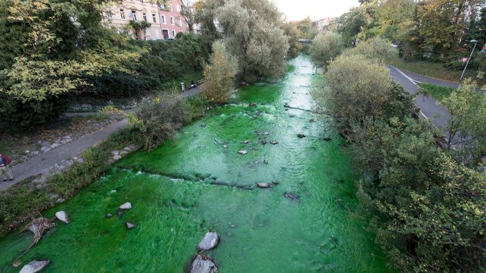 Fluss ist giftgrün gefärbt