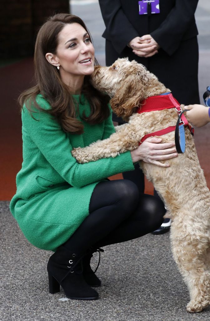 Auch Schulhund Herbie hat die Herzogin herzlich begrüßt.