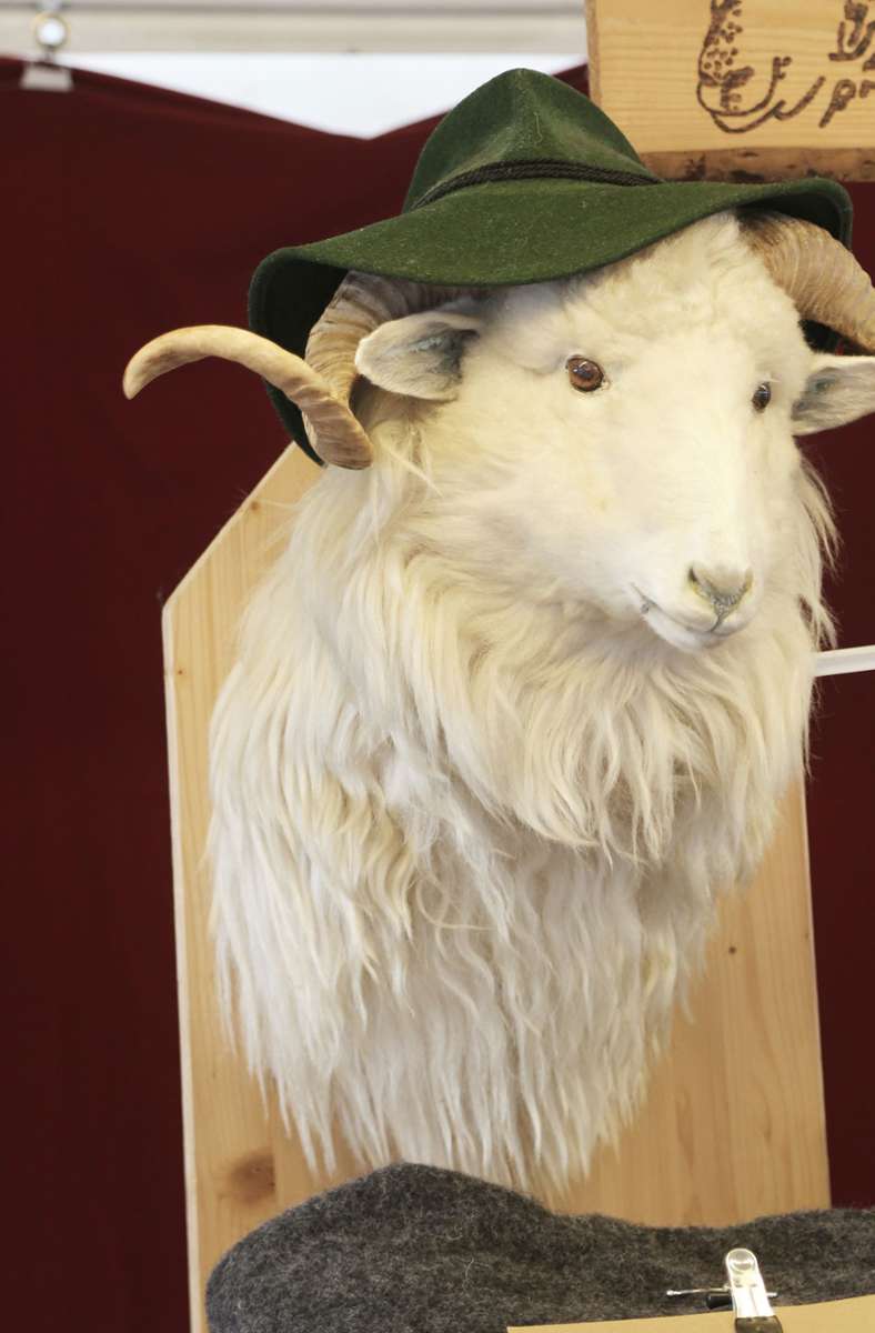 Vor allem Schäfern und Schafhaltern soll das Festival eine Plattform bieten, ihre Produkte anzubieten.