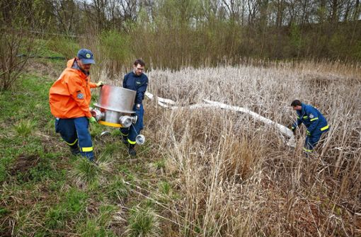 Das Technische Hilfswerk  stellt Pumpen auf und sorgt dafür, dass das Biotop Pfaffenrinne wieder mit Wasser versorgt wird. Foto: Jan Potente