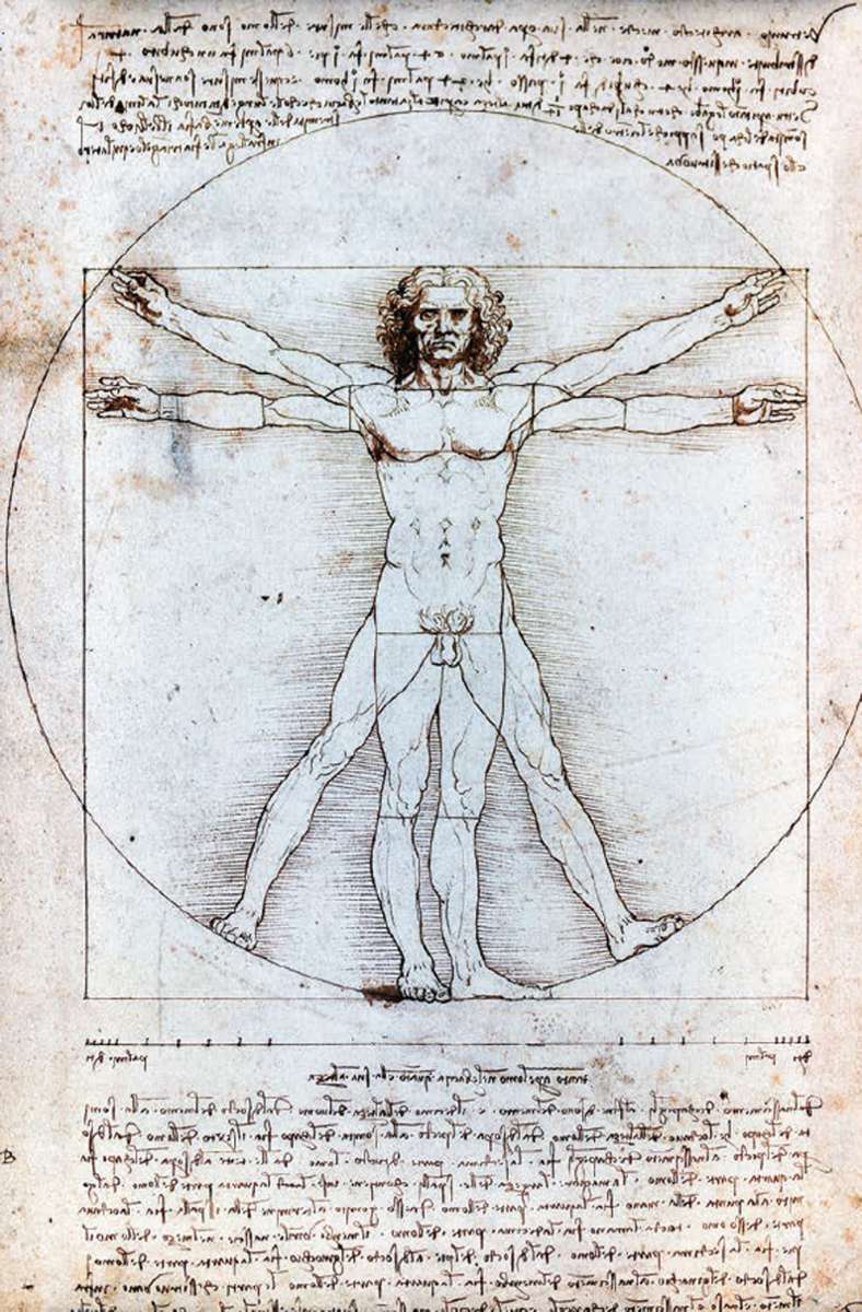 Auch bei der berühmten Abbildung des „vetruvianischen Menschen“ von Leonardo da Vinci aus der Renaissance kommt der Goldene Schnitt zum Tragen.