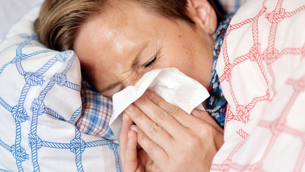 Husten, Schnupfen, Heiserkeit: Bisher sind vor allem Erkältungsviren im Umlauf. Doch auch die echte Grippe-Saison steht kurz bevor. 