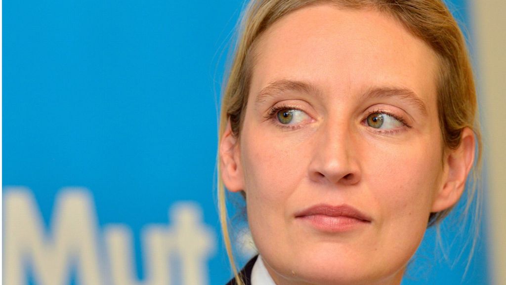 Neue AfD-Spitzenkandidatin Alice Weidel: Kühle Pragmatikerin