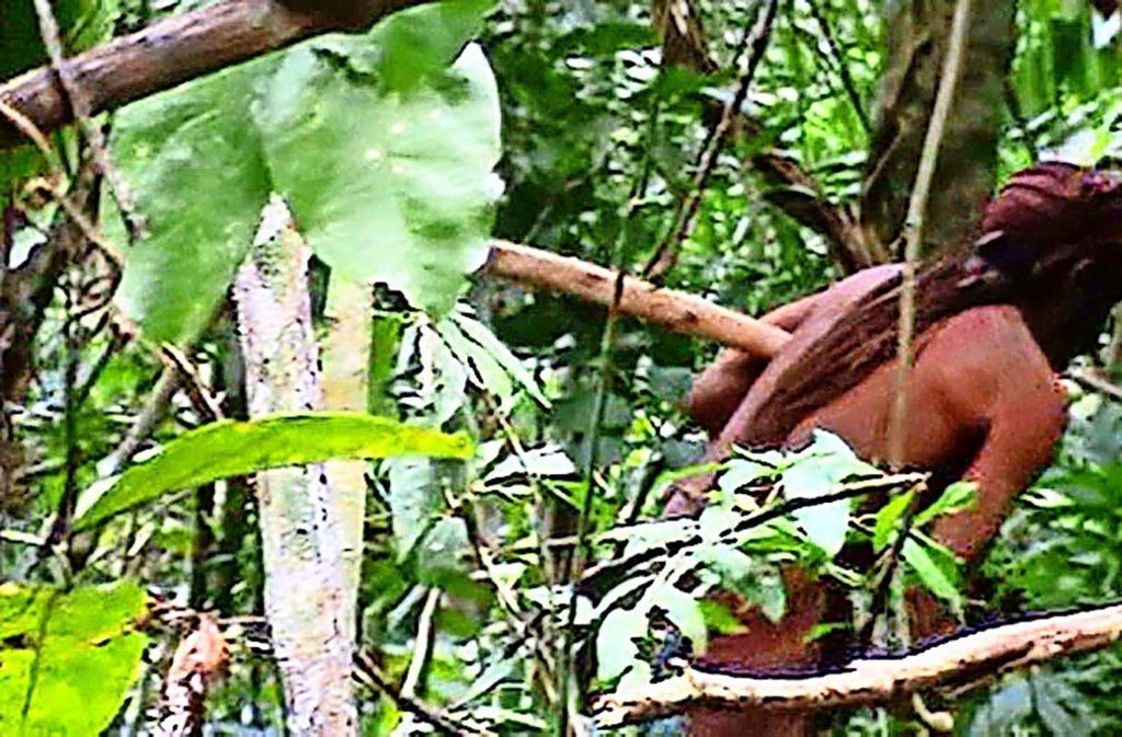 Dieses Standbild eines Videos zeigt einen Ureinwohner im brasilianischen Amazonas-Gebiet, der offenbar der letzte Vertreter seines Volkes ist. Alle anderen Stammesmitglieder wurden wahrscheinlich von Viehzüchtern getötet.