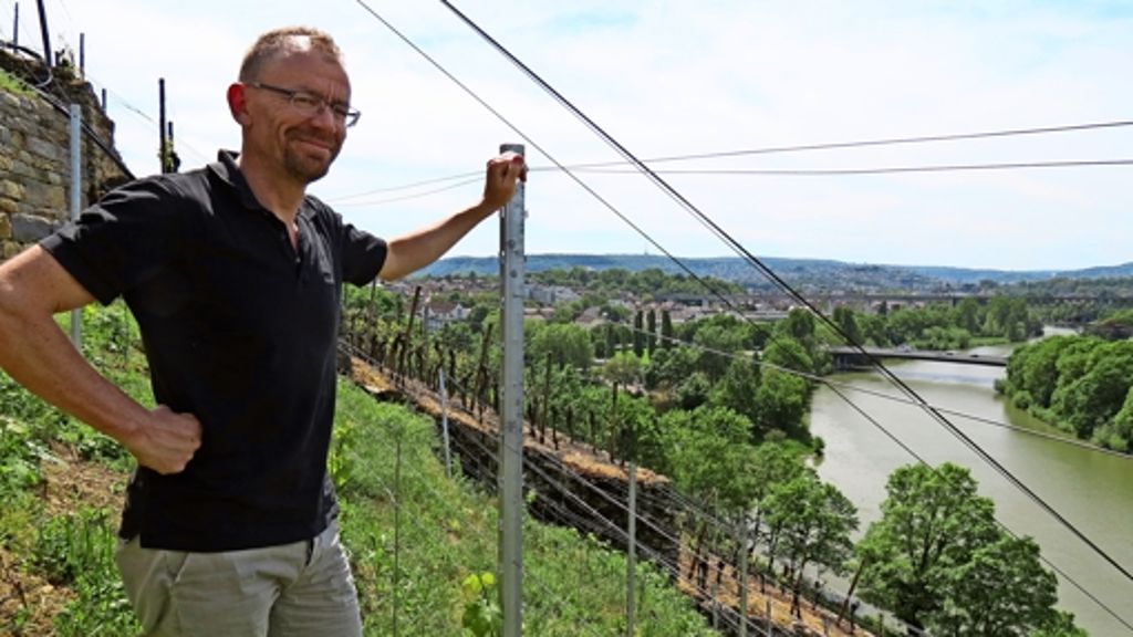 Weingärtner in Bad Cannstatt: Weinbau statt Wurzelbehandlung