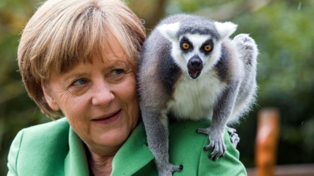 Angela Merkel im Vogelpark: Auf Tuchfühlung mit Affe, Pinguin & Co.