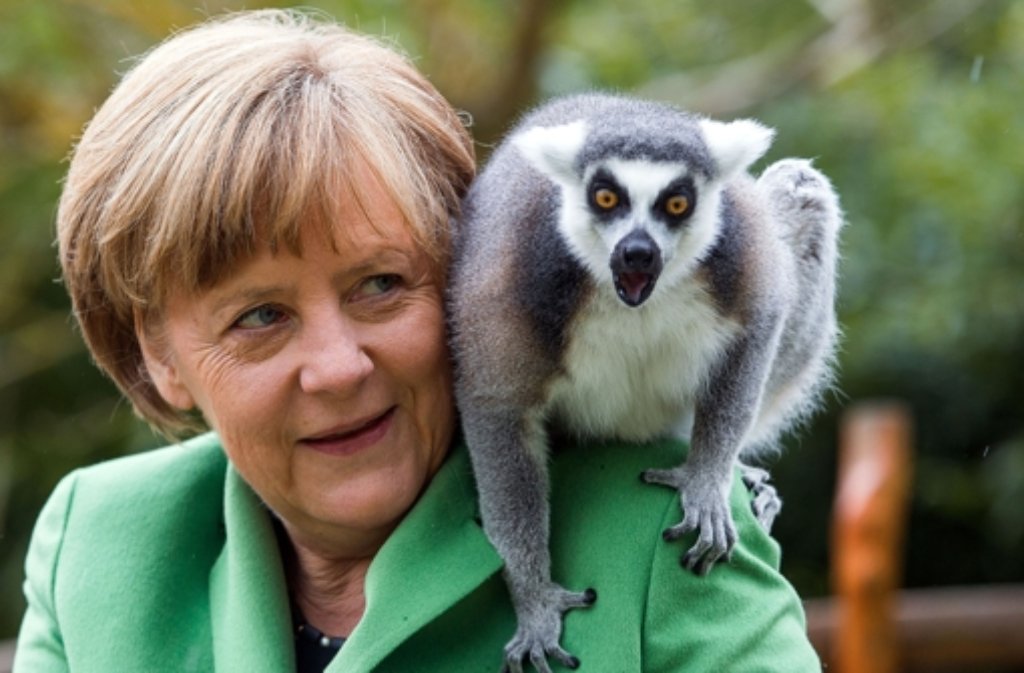 Bundeskanzlerin Angela Merkel (CDU) füttert beim Besuch des Vogelparks Marlow einen Lemuren auf der Madagaskaranlage. Merkel eröffnet hier ...