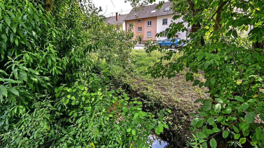Nach dem Unwetter in Ditzingen: Wasserlauf soll umliegende Häuser nicht mehr fluten