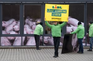 Greenpeace-Aktivisten protestieren gegen Billigfleisch
