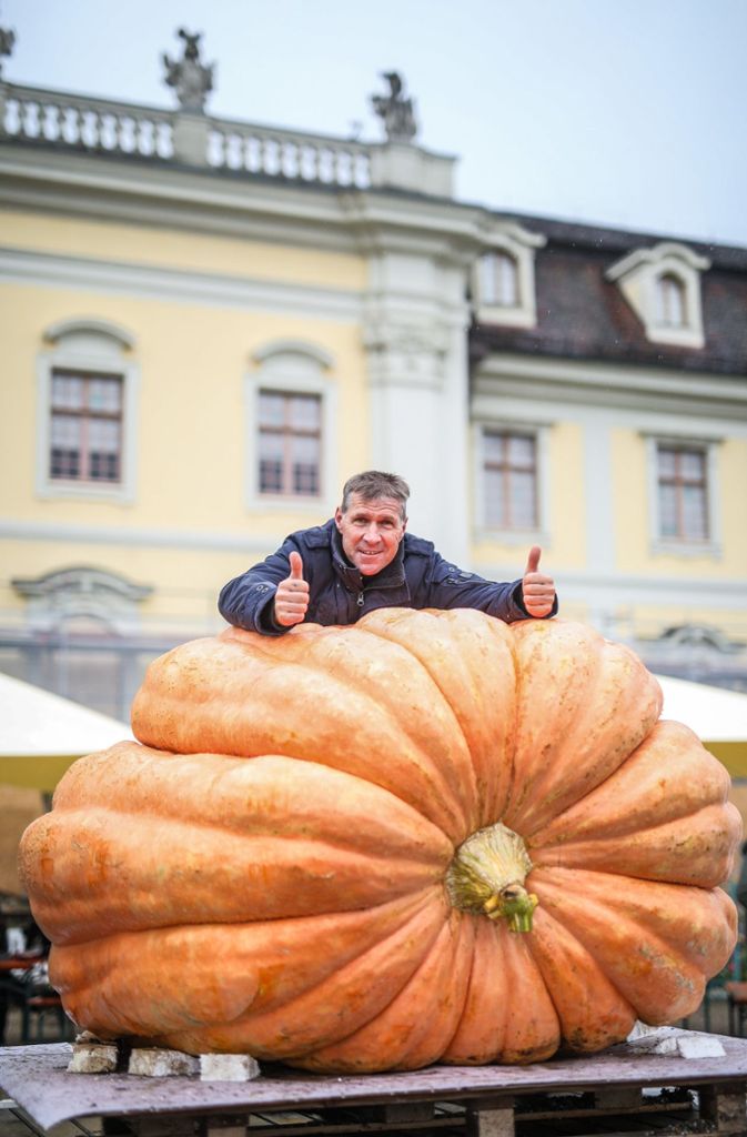 Martin Rudorfer aus Hemmingen (Kreis Ludwigsburg) ist mit seinem 628 Kilogramm schweren Kürbis baden-württembergischer Meister geworden.