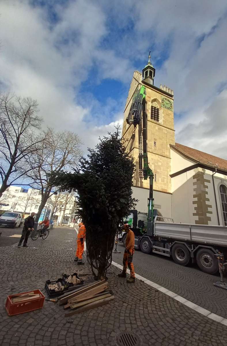 Der Weihnachtsbaum vor der Fellbacher Lutherkirche wurde vor Kurzem aufgestellt.
