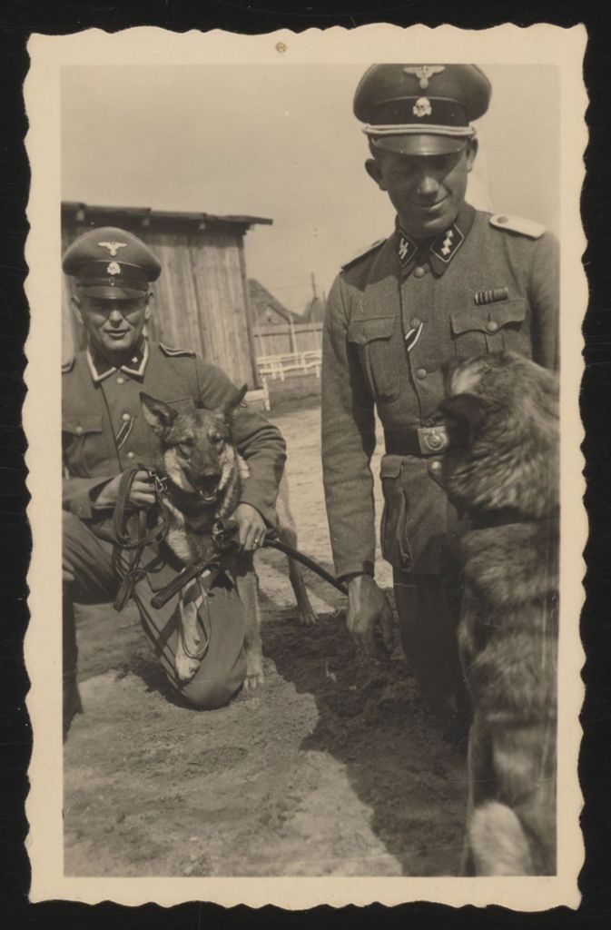 Johann Niemann und ein nicht identifizierter SS-Unterscharführer mit Schäferhunden. Oft hetzte die Lager-SS die Tiere auf jüdische Gefangene.