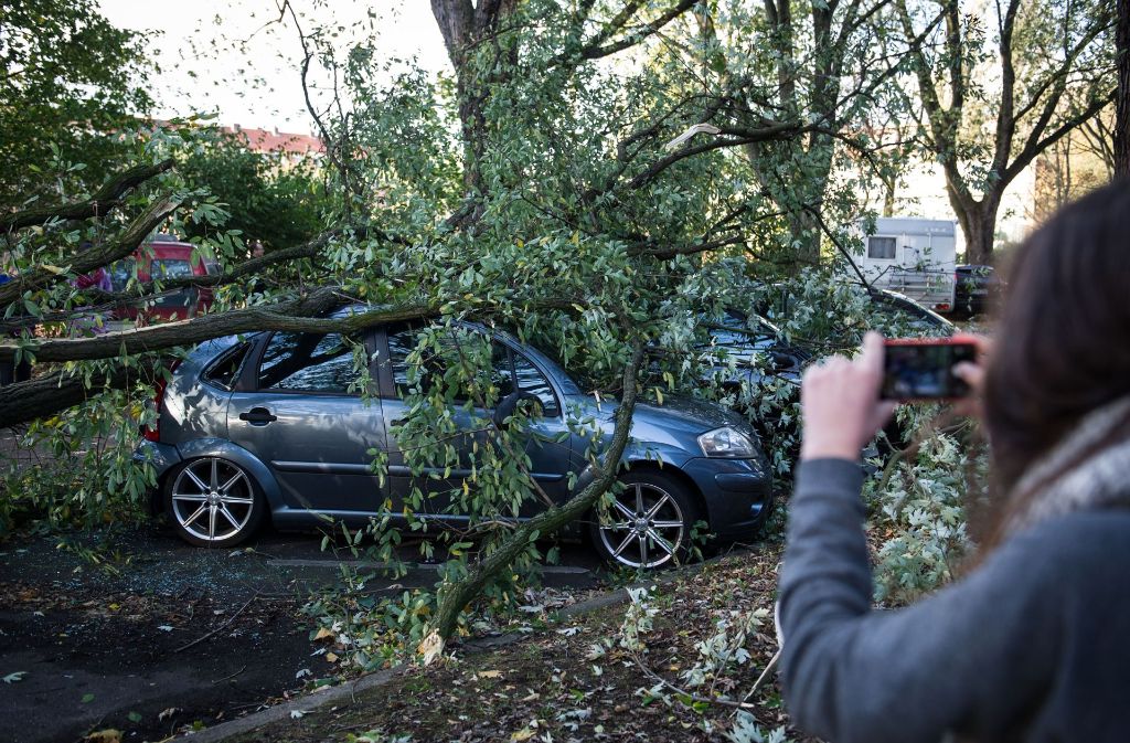 Ein umgestürzter Baum liegt am 28. Oktober 2013 auf mehreren Autos in einer Straße in Hamburg, während eine Frau mit ihrem Smartphone die Szenerie fotografiert.
