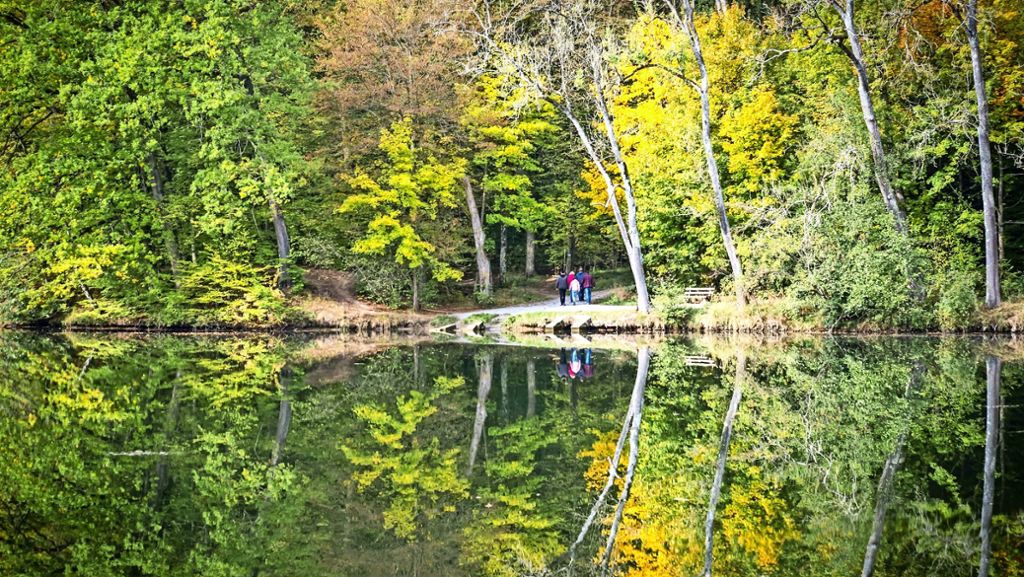 Seen in Stuttgart-Büsnau: Die Stadt soll die beiden Seen kaufen