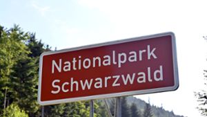Konflikt um Nutzung: CDU-Mann ringt um Ferienhaus im Nationalpark