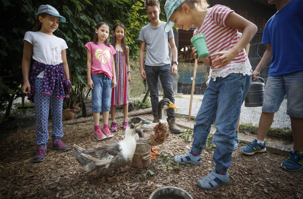 Fester Bestandteil des Konzepts ist der direkte Kontakt der Kinder mit den Tieren. Um das zu ermöglichen, werden die Klassen in Gruppen aufgeteilt.