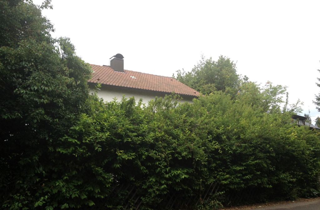 So wie das alte Haus von Hecken geschützt am Ende der Anliegerstraße vor neugierigen Blicken schützt, ist auch die Villa inzwischen von einer Wand aus Grün geschützt.