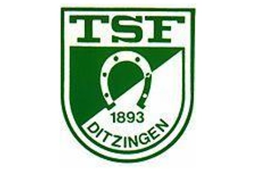 Jetzt endet die Saison für die TSF Ditzingen doch noch mit dem Aufstieg Foto: nh