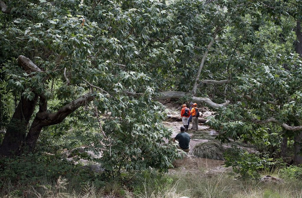Rettungskräfte suchen im Tonto National Forest bei Payson nach vermissten Schwimmern. Foto: AP