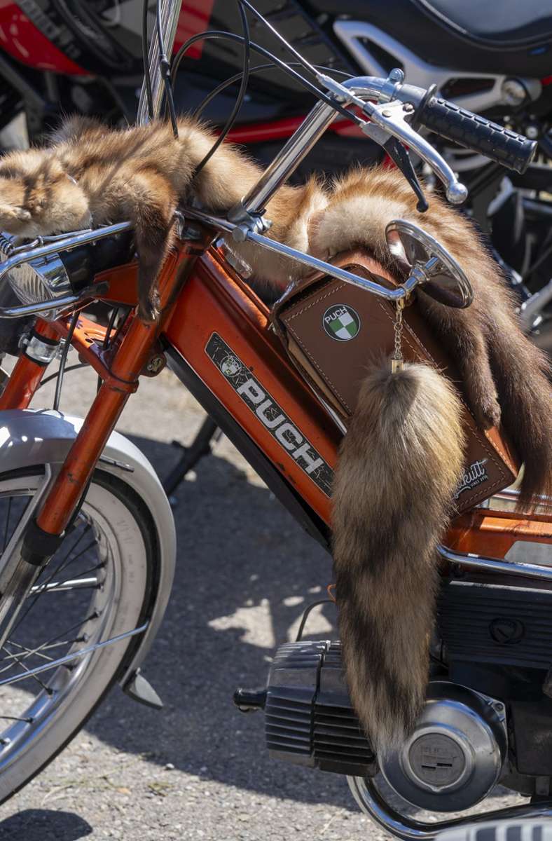 Fuchsschwanz – eher ein ganzer Fuchs ist bei diesem Biker an Bord.