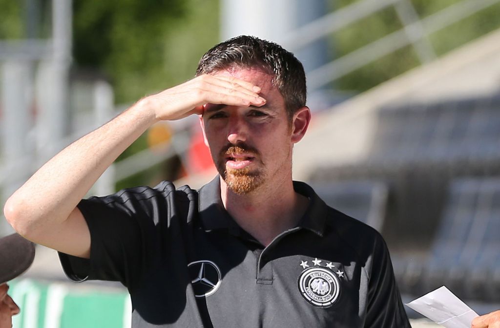Seit dem 7. Dezember 2018 ist Meikel Schönweitz Cheftrainer aller U-Nationalmannschaften des DFB und dient damit als Ansprechpartner für alle sportlichen und organisatorischen Themen, die rund um die U-Nationalmannschaften anfallen. Von 2010 bis 2014 war er als Nachwuchstrainer beim FSV Mainz 05 aktiv.
