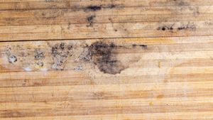 Schimmel von Holz entfernen - 9 hilfreiche Tipps
