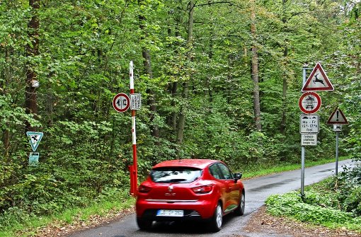 Morgens und abends dürfen Autos durch das Naturschutzgebiet Greutterwald zwischen Stuttgart Weilimdorf und Zuffenhausen fahren. Foto: Martin Braun