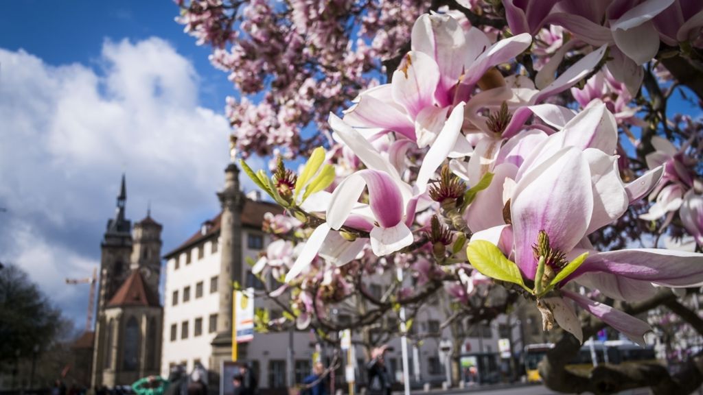 Wetter in Baden-Württemberg: Nach Wintereinbruch kommt der Frühling zurück