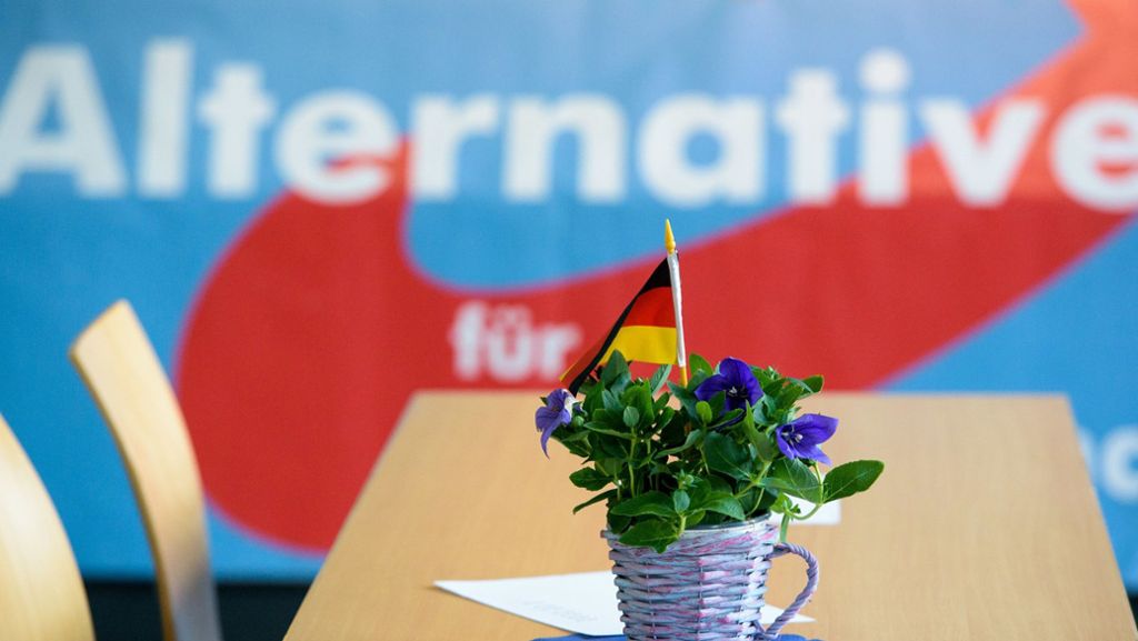 Deutschland-Trend unter Wählern: AfD erstmals zweitstärkste Partei