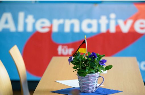 Die AfD legt in der Wählergunst laut einer aktuellen Umfrage in Deutschland zu. (Symbolbild) Foto: dpa