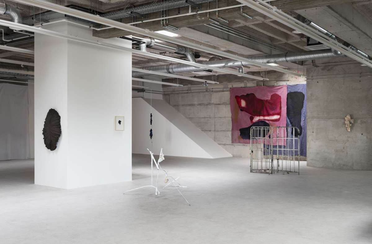 Ungewöhnliches Ambiente: Anna Schaible hat zwei Wochen in leer stehenden Räumen in der Schulstraße hochpreisige Kunst gezeigt. Im Herbst soll es weitergehen.